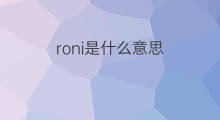 roni是什么意思 英文名roni的翻译、发音、来源