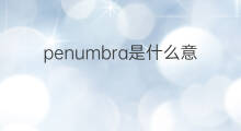 penumbra是什么意思 penumbra的翻译、读音、例句、中文解释