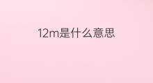 12m是什么意思 12m的翻译、读音、例句、中文解释