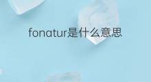 fonatur是什么意思 fonatur的翻译、读音、例句、中文解释