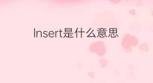 lnsert是什么意思 lnsert的翻译、读音、例句、中文解释