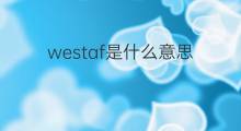 westaf是什么意思 westaf的翻译、读音、例句、中文解释