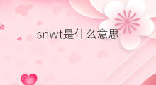 snwt是什么意思 snwt的翻译、读音、例句、中文解释