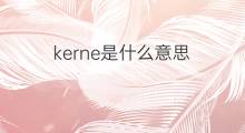 kerne是什么意思 kerne的翻译、读音、例句、中文解释