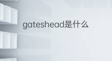 gateshead是什么意思 gateshead的翻译、读音、例句、中文解释