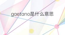gaetano是什么意思 gaetano的翻译、读音、例句、中文解释