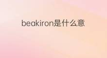 beakiron是什么意思 beakiron的翻译、读音、例句、中文解释