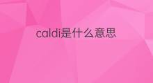 caldi是什么意思 caldi的翻译、读音、例句、中文解释