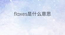 flaxes是什么意思 flaxes的翻译、读音、例句、中文解释