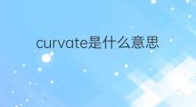 curvate是什么意思 curvate的翻译、读音、例句、中文解释
