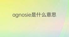 agnosie是什么意思 agnosie的中文翻译、读音、例句