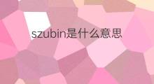 szubin是什么意思 szubin的中文翻译、读音、例句