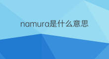 namura是什么意思 namura的中文翻译、读音、例句