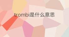 trombi是什么意思 trombi的中文翻译、读音、例句