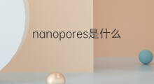 nanopores是什么意思 nanopores的中文翻译、读音、例句