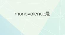 monovalence是什么意思 monovalence的中文翻译、读音、例句