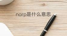 narp是什么意思 narp的中文翻译、读音、例句