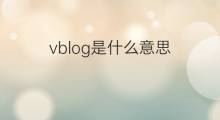 vblog是什么意思 vblog的中文翻译、读音、例句
