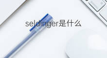 seldinger是什么意思 seldinger的中文翻译、读音、例句