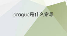 prague是什么意思 prague的中文翻译、读音、例句