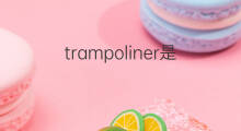 trampoliner是什么意思 trampoliner的中文翻译、读音、例句