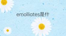 emolliates是什么意思 emolliates的中文翻译、读音、例句