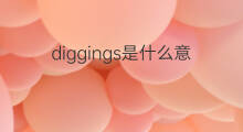 diggings是什么意思 diggings的中文翻译、读音、例句