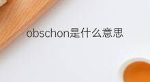 obschon是什么意思 obschon的中文翻译、读音、例句