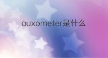 auxometer是什么意思 auxometer的中文翻译、读音、例句