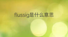 flussig是什么意思 flussig的中文翻译、读音、例句