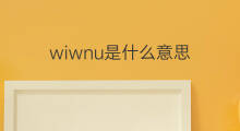 wiwnu是什么意思 wiwnu的中文翻译、读音、例句