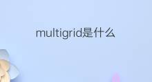 multigrid是什么意思 multigrid的中文翻译、读音、例句