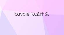 cavaleiro是什么意思 cavaleiro的中文翻译、读音、例句