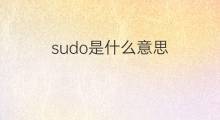 sudo是什么意思 sudo的中文翻译、读音、例句