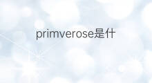primverose是什么意思 primverose的中文翻译、读音、例句