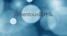 jumentous是什么意思 jumentous的中文翻译、读音、例句