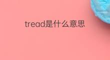 tread是什么意思 tread的中文翻译、读音、例句
