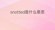 snotted是什么意思 snotted的中文翻译、读音、例句
