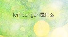 lembongan是什么意思 lembongan的翻译、读音、例句、中文解释