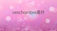 veschambre是什么意思 veschambre的中文翻译、读音、例句