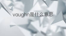 vaughn是什么意思 vaughn的中文翻译、读音、例句