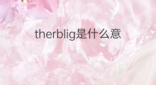 therblig是什么意思 therblig的中文翻译、读音、例句