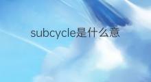subcycle是什么意思 subcycle的中文翻译、读音、例句