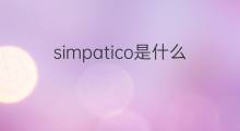 simpatico是什么意思 simpatico的翻译、读音、例句、中文解释