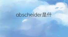 abscheider是什么意思 abscheider的中文翻译、读音、例句
