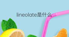 lineolate是什么意思 lineolate的中文翻译、读音、例句
