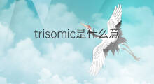 trisomic是什么意思 trisomic的中文翻译、读音、例句