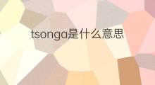 tsonga是什么意思 tsonga的中文翻译、读音、例句