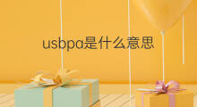 usbpa是什么意思 usbpa的中文翻译、读音、例句