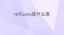 refluxes是什么意思 refluxes的中文翻译、读音、例句